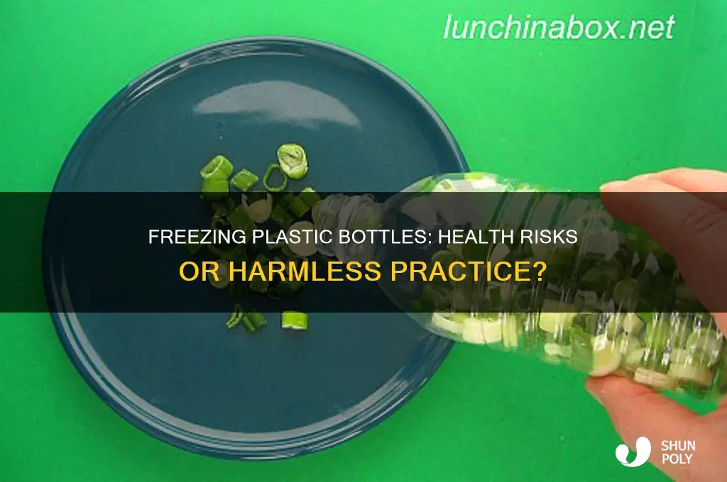 will putting plastic bottles in the freezer give you diseases