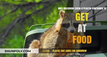 Raccoons and Plastic Containers: Will They Chew Through?