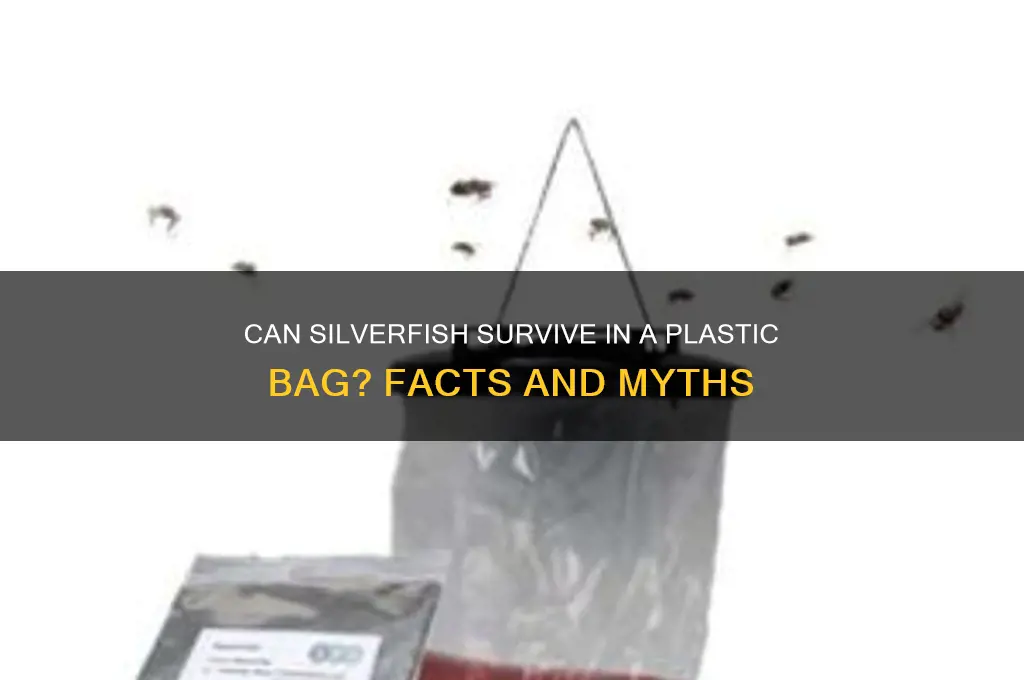 will silverfish die in plastic bag