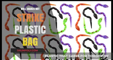 Do Snakes Avoid Striking Plastic Bags? Unraveling the Myth and Facts