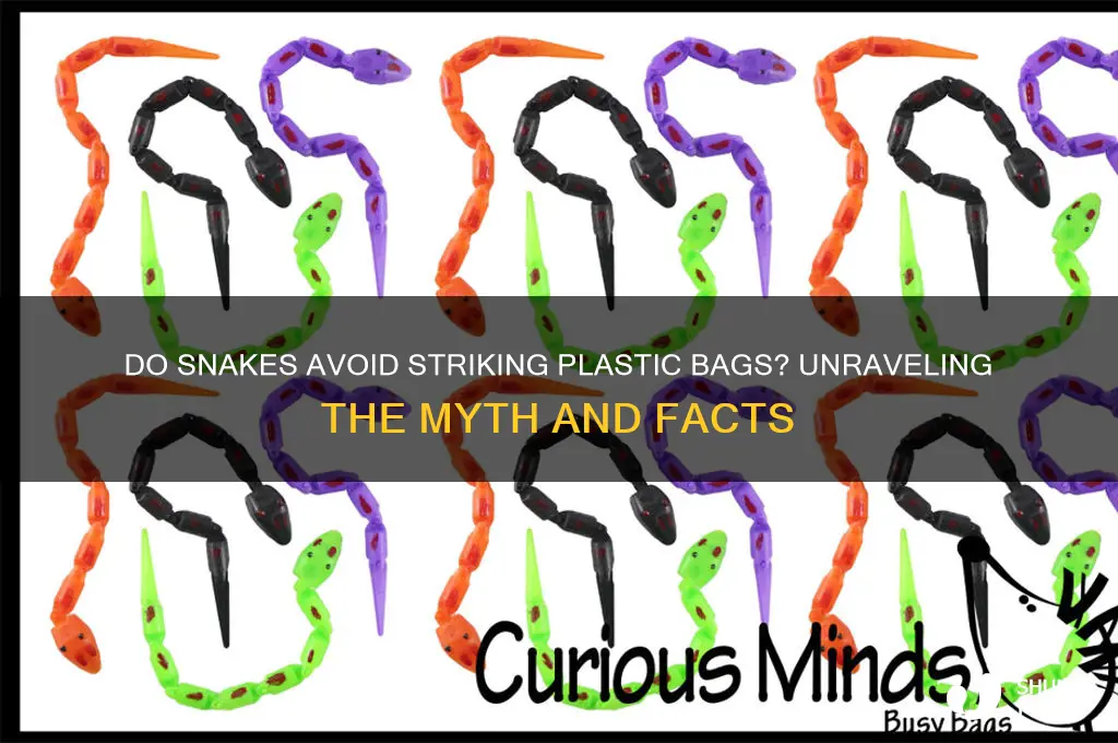 will snakes not strike plastic bag