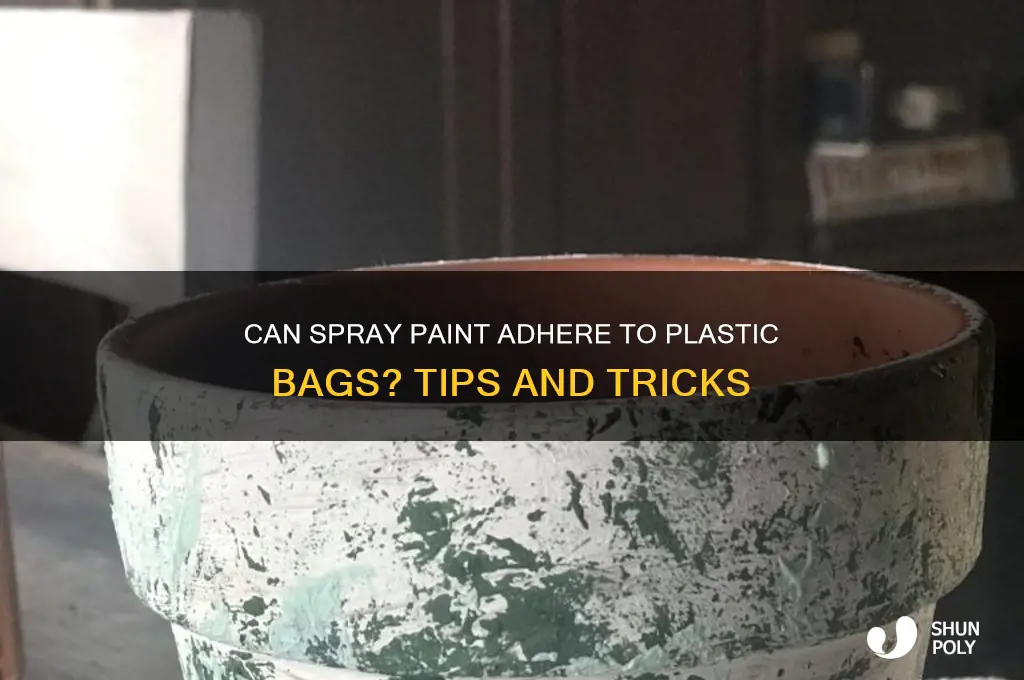 will spray paint stick to plastic bags