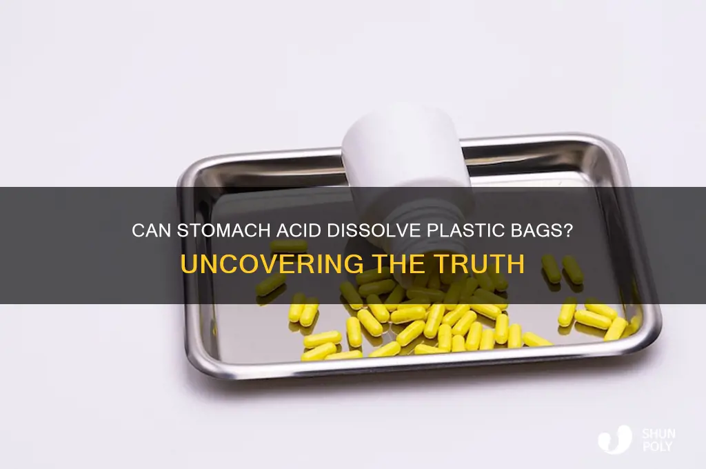 will stomach acid dissolve plastic bag
