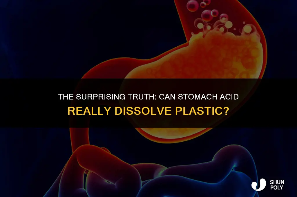 will stomach acid dissolve plastic