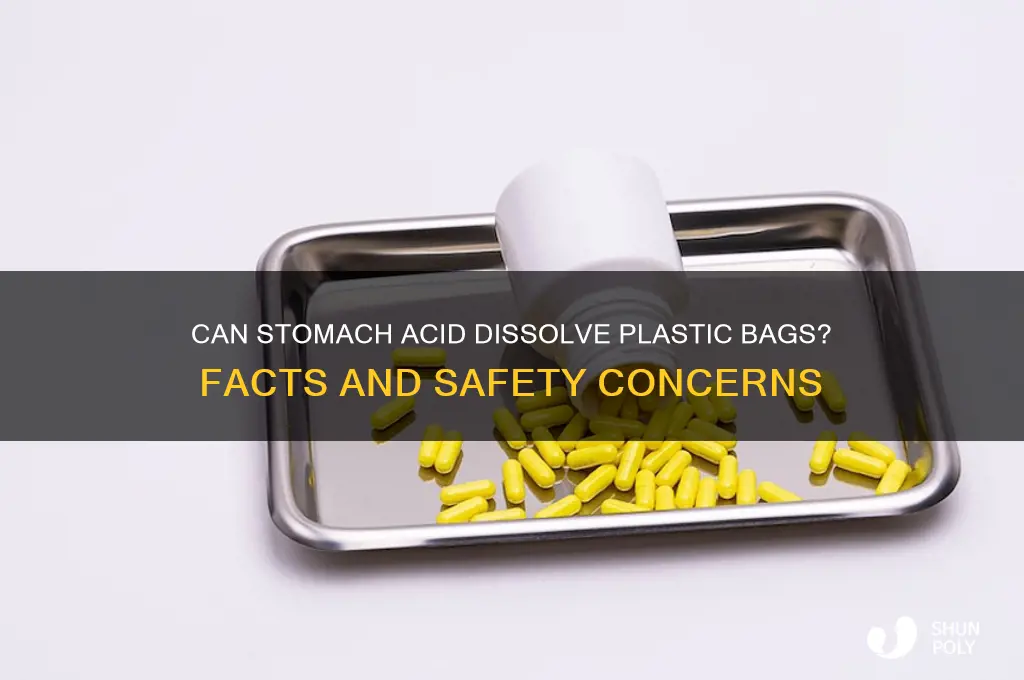 will stomach acid eat through a plastic bag