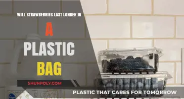 Extend Strawberry Freshness: Plastic Bags vs. Other Storage Methods