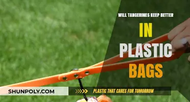 Do Tangerines Last Longer in Plastic Bags? Storage Tips