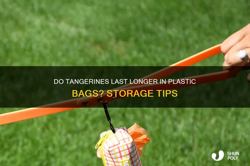 will tangerines keep better in plastic bags
