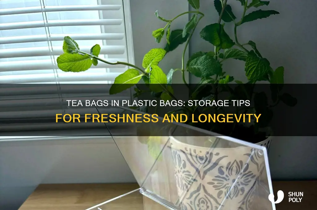 will tea bags keep okay in a plastic bag