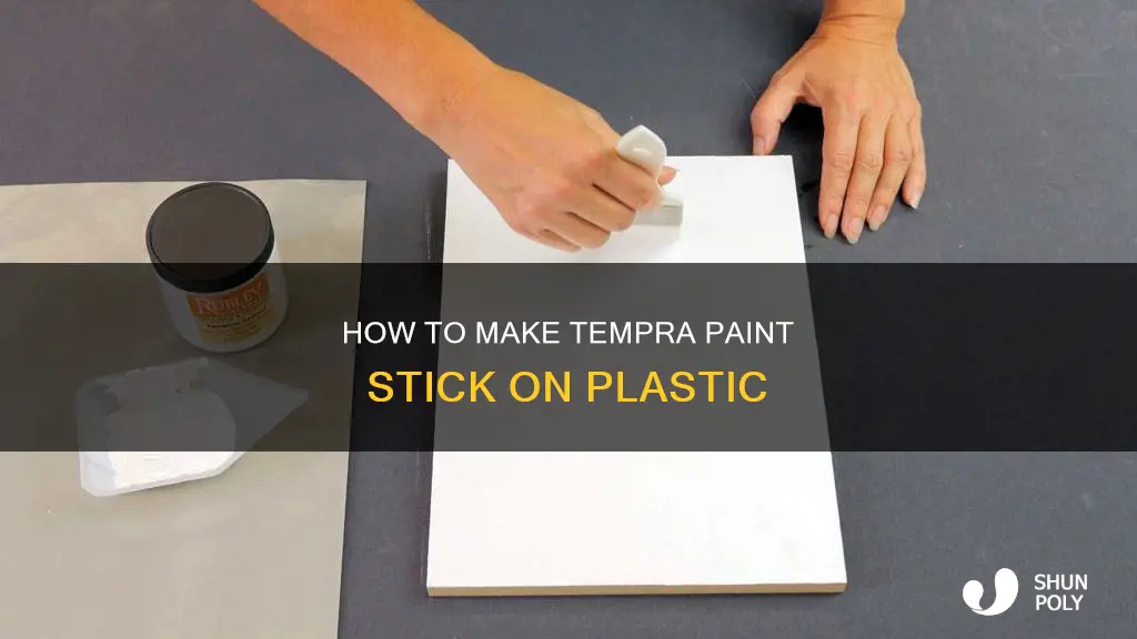 will tempra paint stay on plastic