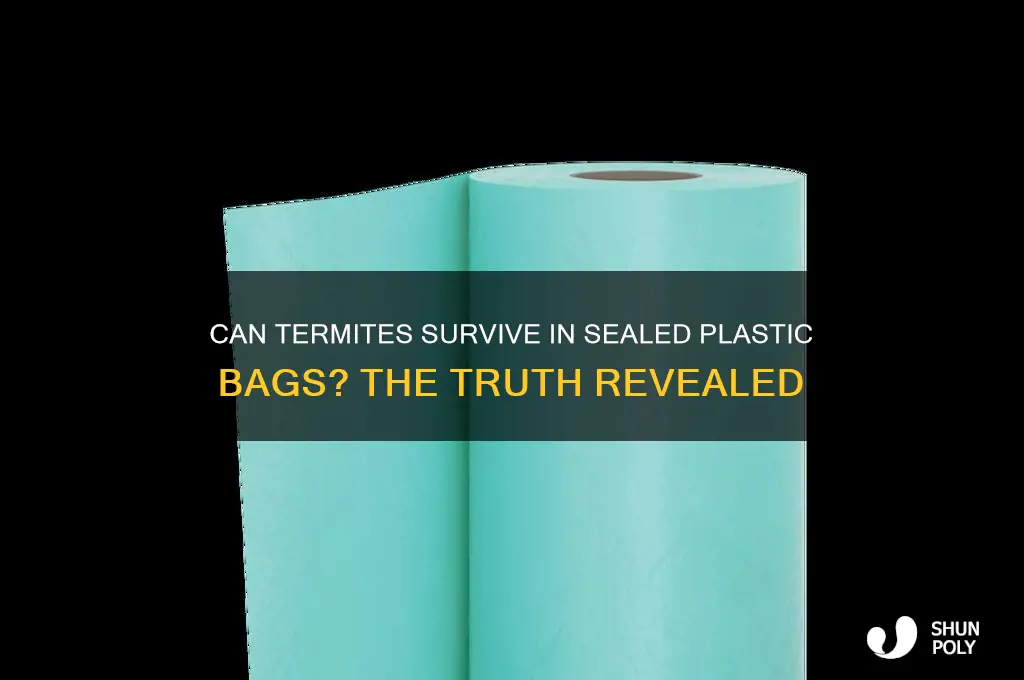 will termites die in sealed plastic bags