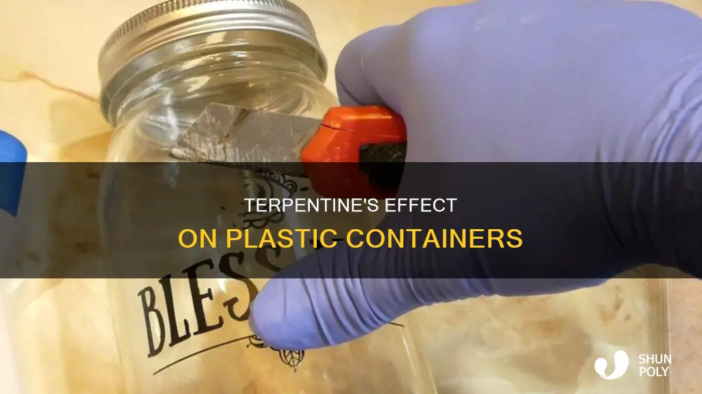 will terpentine remove plastic container writing