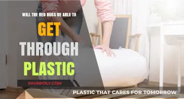 Can Bed Bugs Penetrate Plastic? Uncovering the Truth About Infestations