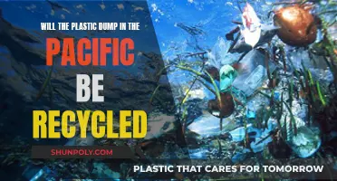 The Pacific Plastic Dump: Can it be Recycled?