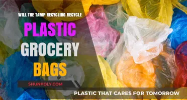 Can Tamp Recycling Accept Plastic Grocery Bags for Recycling?