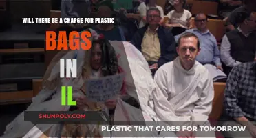 Illinois Plastic Bag Fee: What Shoppers Need to Know Now