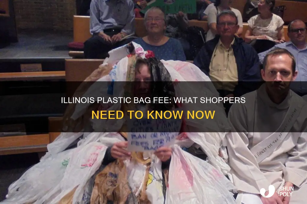 will there be a charge for plastic bags in il