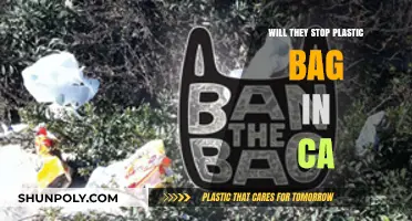 California's Plastic Bag Ban: What's Next for Shoppers and Businesses?