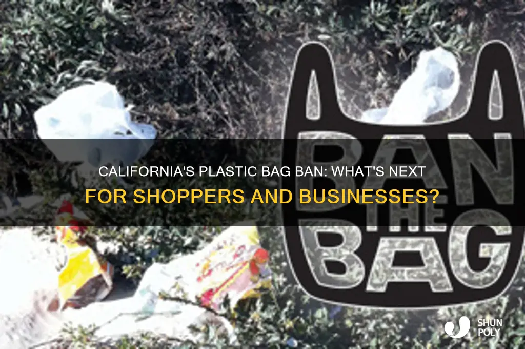 will they stop plastic bag in ca