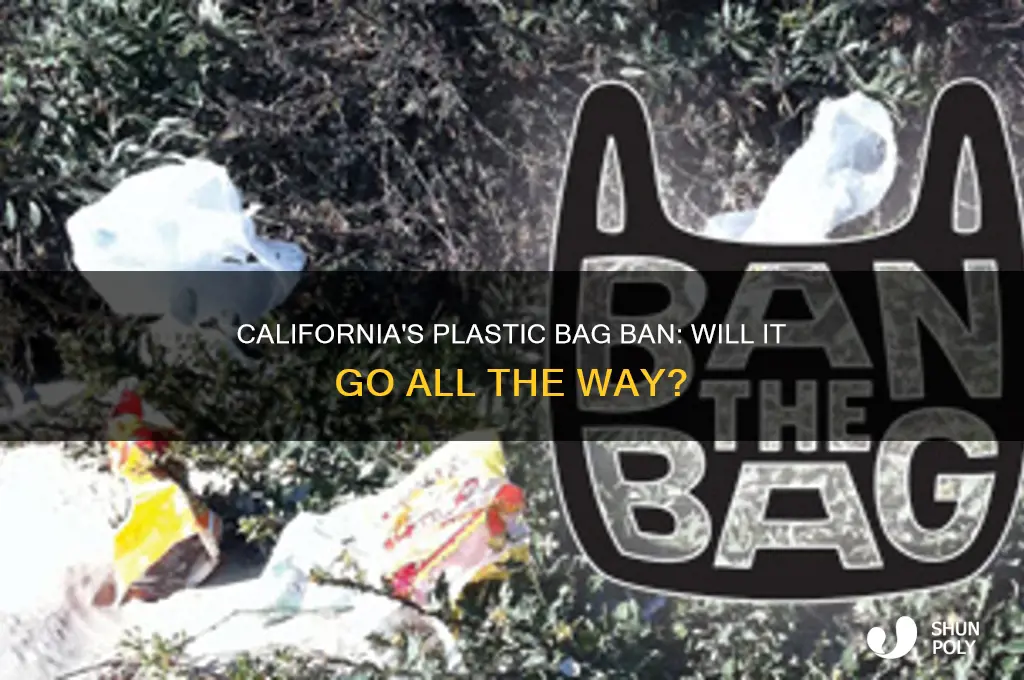 will they totally ban plastic bag in ca