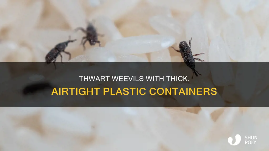 will thick airtight plastic containers work to prevent weevils spreading