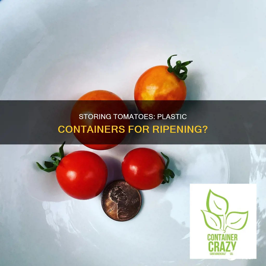 will tomatoes ripen in plastic containers