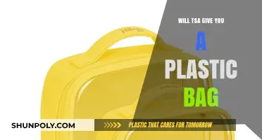 Does TSA Provide Plastic Bags for Liquids at Security Checkpoints?