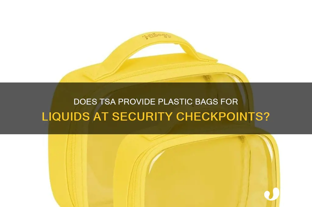 will tsa give you a plastic bag