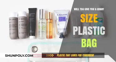 Does TSA Provide Quart-Size Plastic Bags at Security Checkpoints?