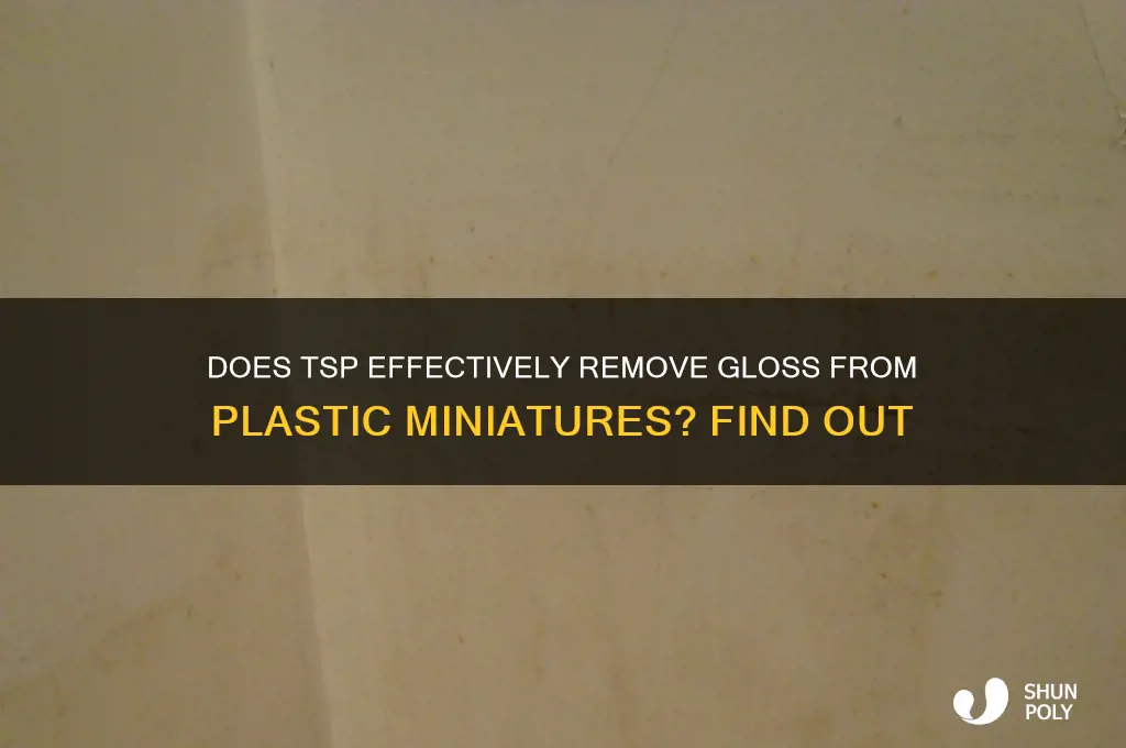 will tsp remove gloss from plastic minitures