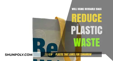 Reusable Bags: A Sustainable Solution to Reduce Plastic Waste?