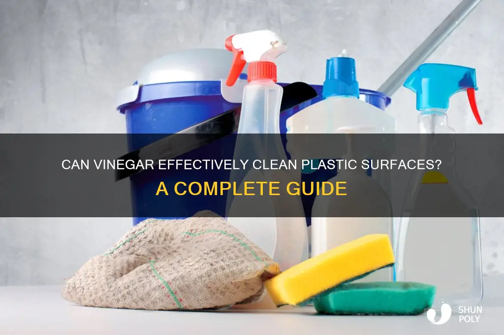 will vinegar clean plastic