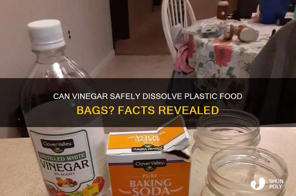 will vinegar dissolve plastic food bag