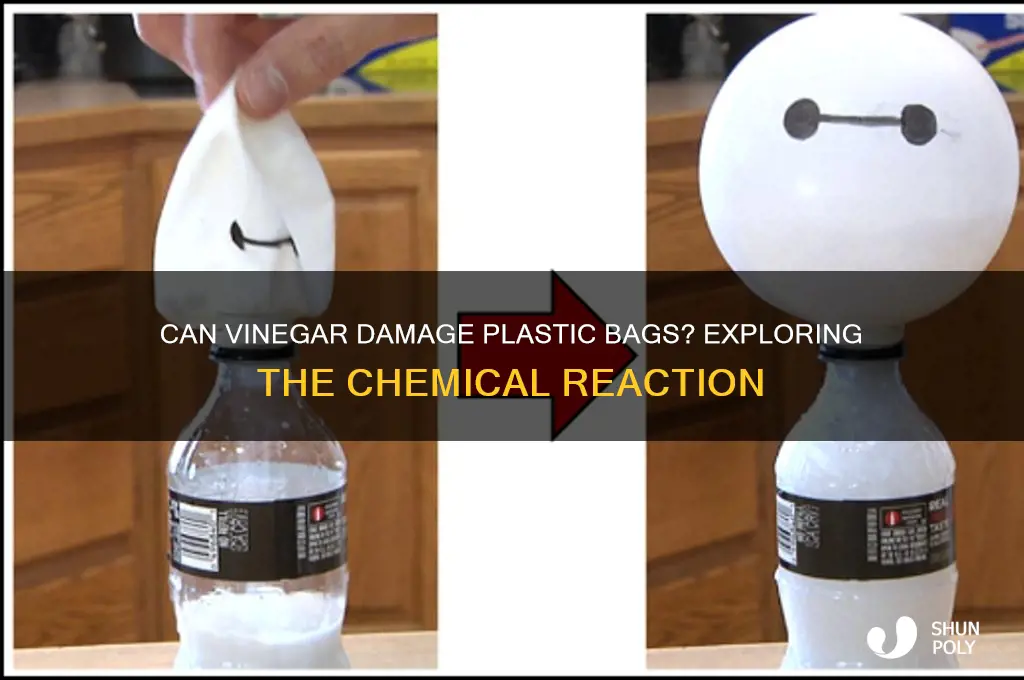will vinegar eat through a plastic bag