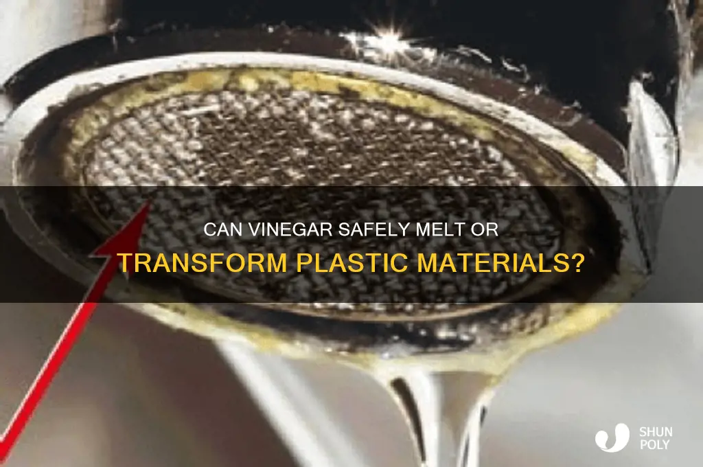 will vinegar make plastic