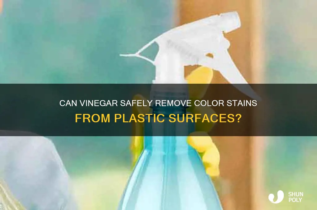 will vinegar remove color from plastic