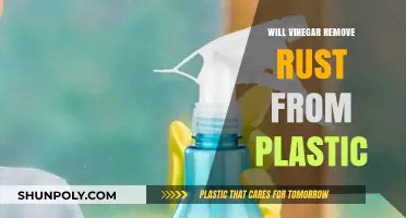 Can Vinegar Safely Remove Rust Stains from Plastic Surfaces?