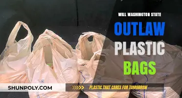 Washington State's Plastic Bag Ban: What's Next for Shoppers?