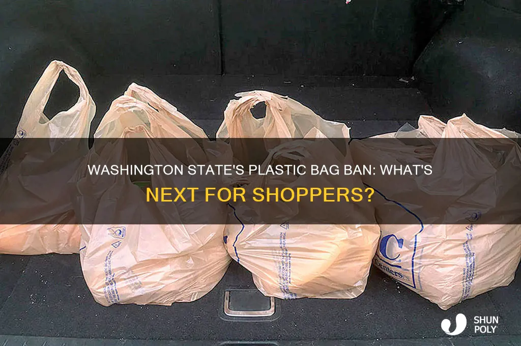 will washington state outlaw plastic bags