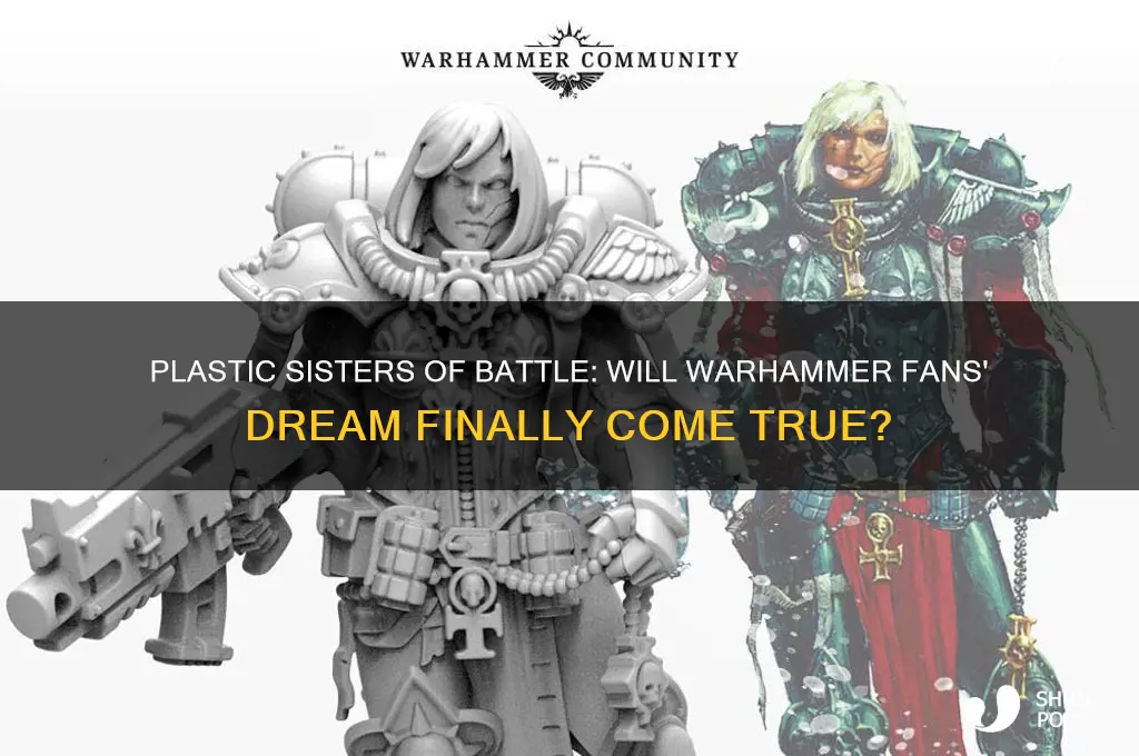 will we ever get plastic sisters of battle