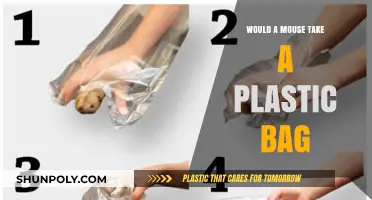 Would a Mouse Take a Plastic Bag? Exploring Rodent Behavior