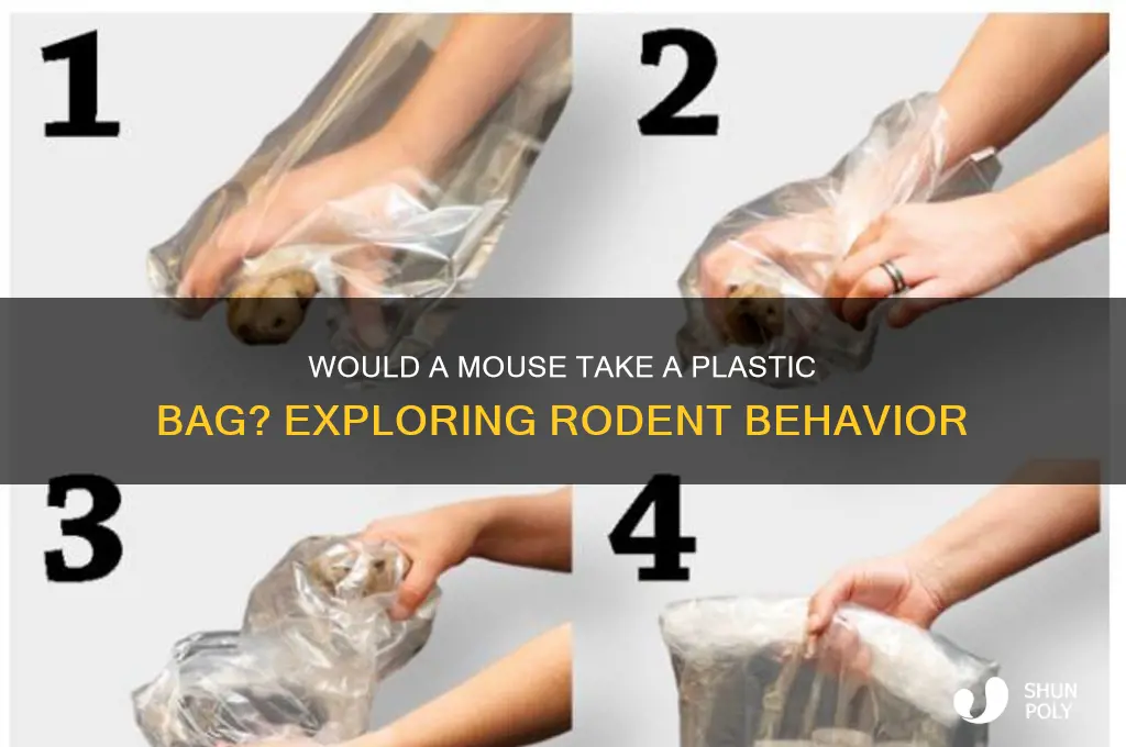would a mouse take a plastic bag