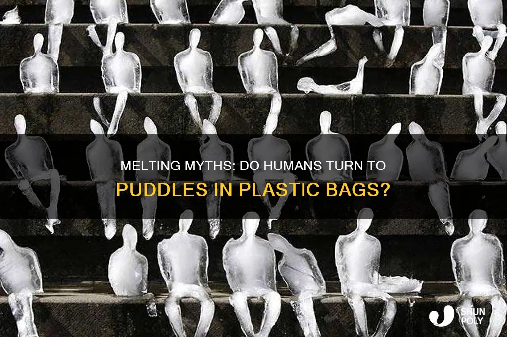 would humans turn to puddles in a plastic bag