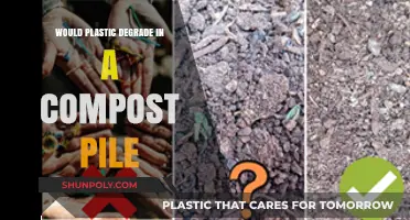 Composting Plastic Waste: A Degradable Fantasy