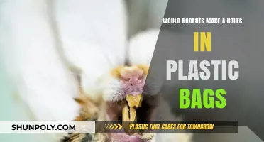 Can Rodents Chew Through Plastic Bags? Facts and Prevention Tips