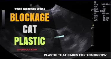 Ultrasound: Can It Detect Plastic Blockage in Cats?
